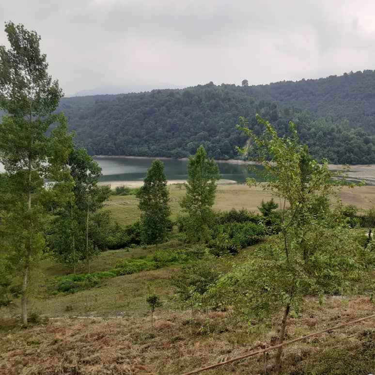 ناصر درویشی