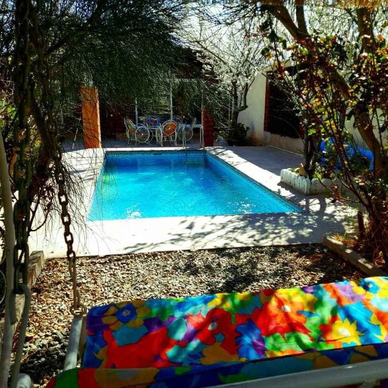 محمد دهقان دهنوی