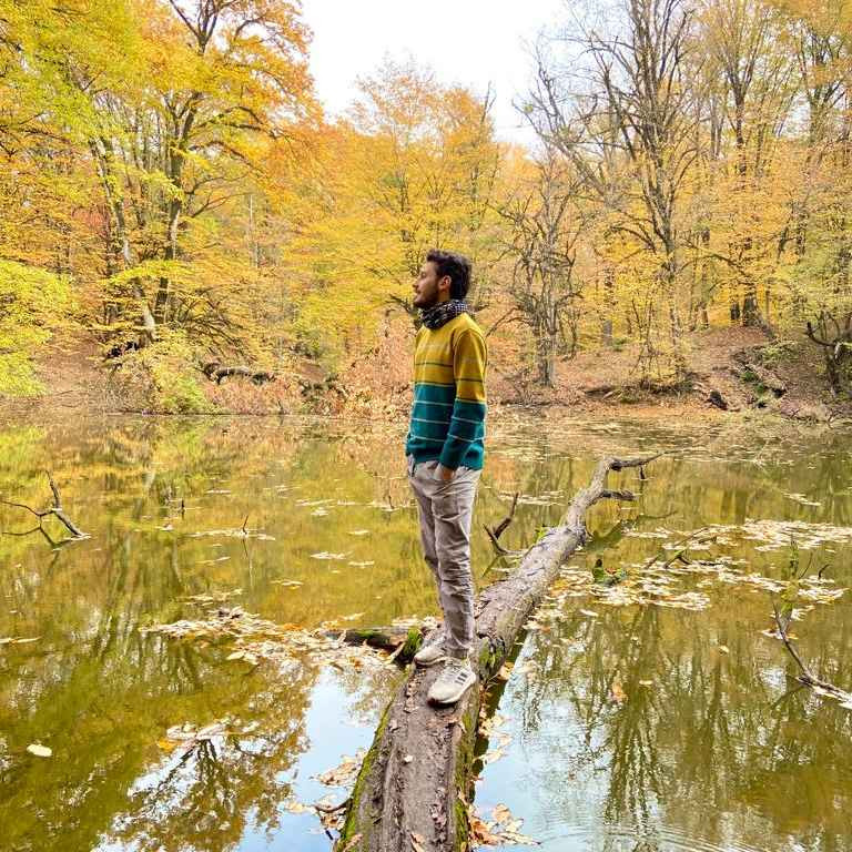 بهمن زنگانه