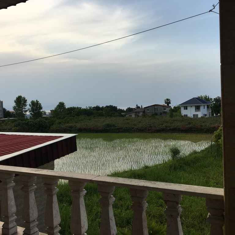 ابوالحسن زندی