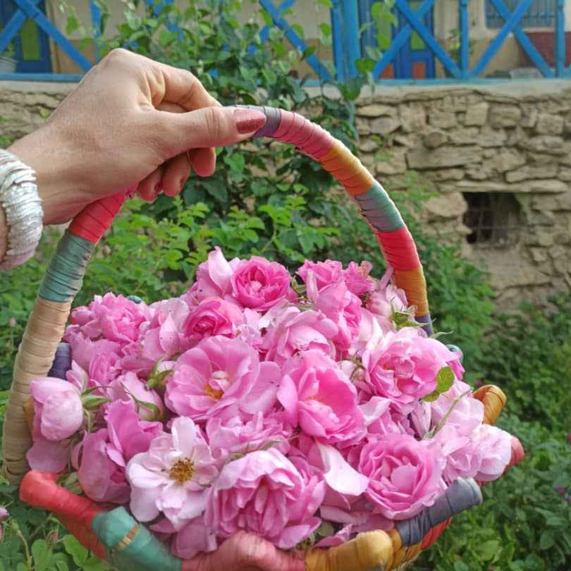 پشتیبانی آنلاین اقامتگاه بوم گردی باران آزادشهر