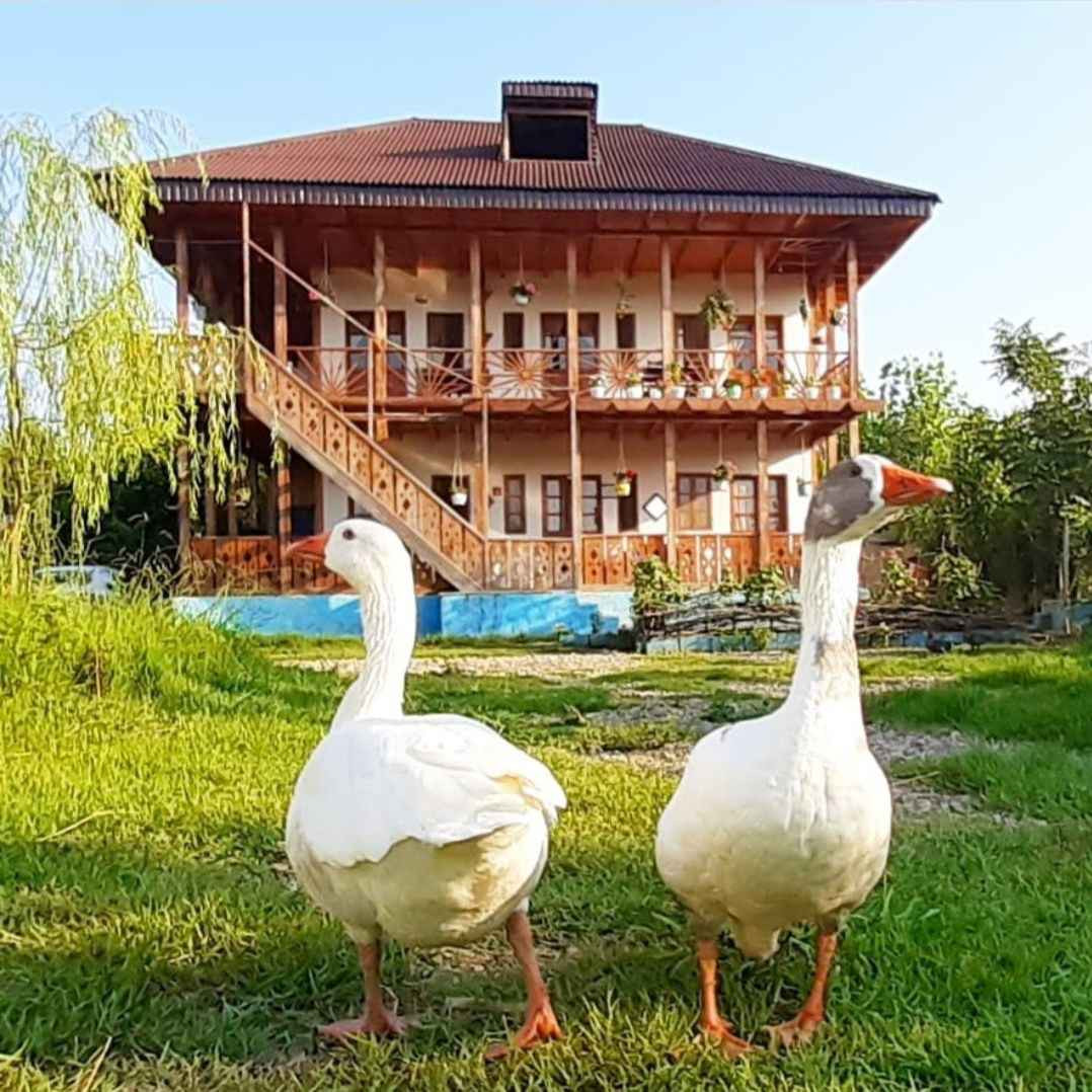 پشتیبانی آنلاین اقامتگاه بومگردی داروک ماسوله