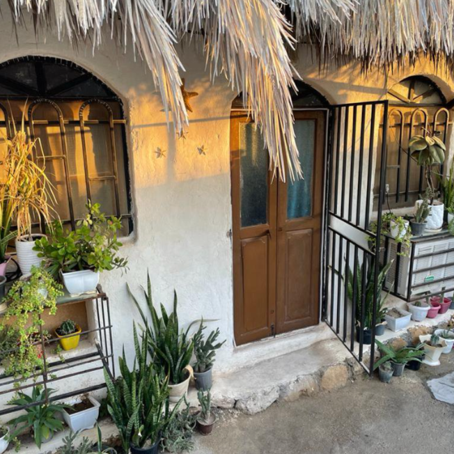 پشتیبانی آنلاین اقامتگاه بوم گردی ستاره دریایی بوشهر