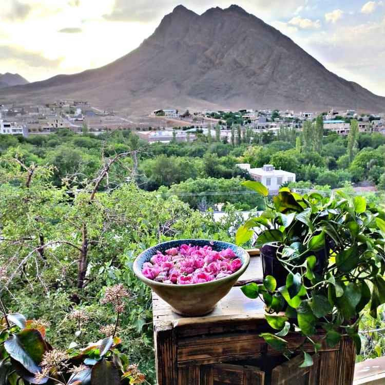 پشتیبانی آنلاین بومگردی سرای آرامش VIP برزک