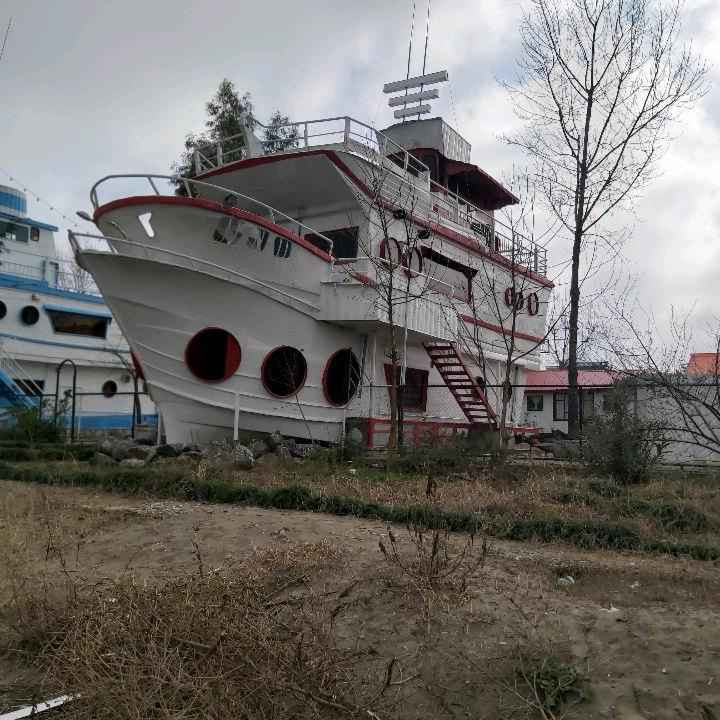 شاهین نواری