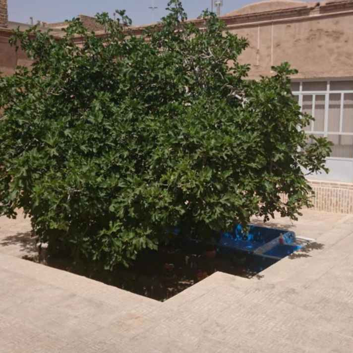 پشتیبانی آنلاین اقامتگاه سنتی خانه مادر بزرگ یزد