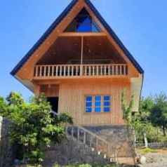 آتنا عابدی فیروزجائی