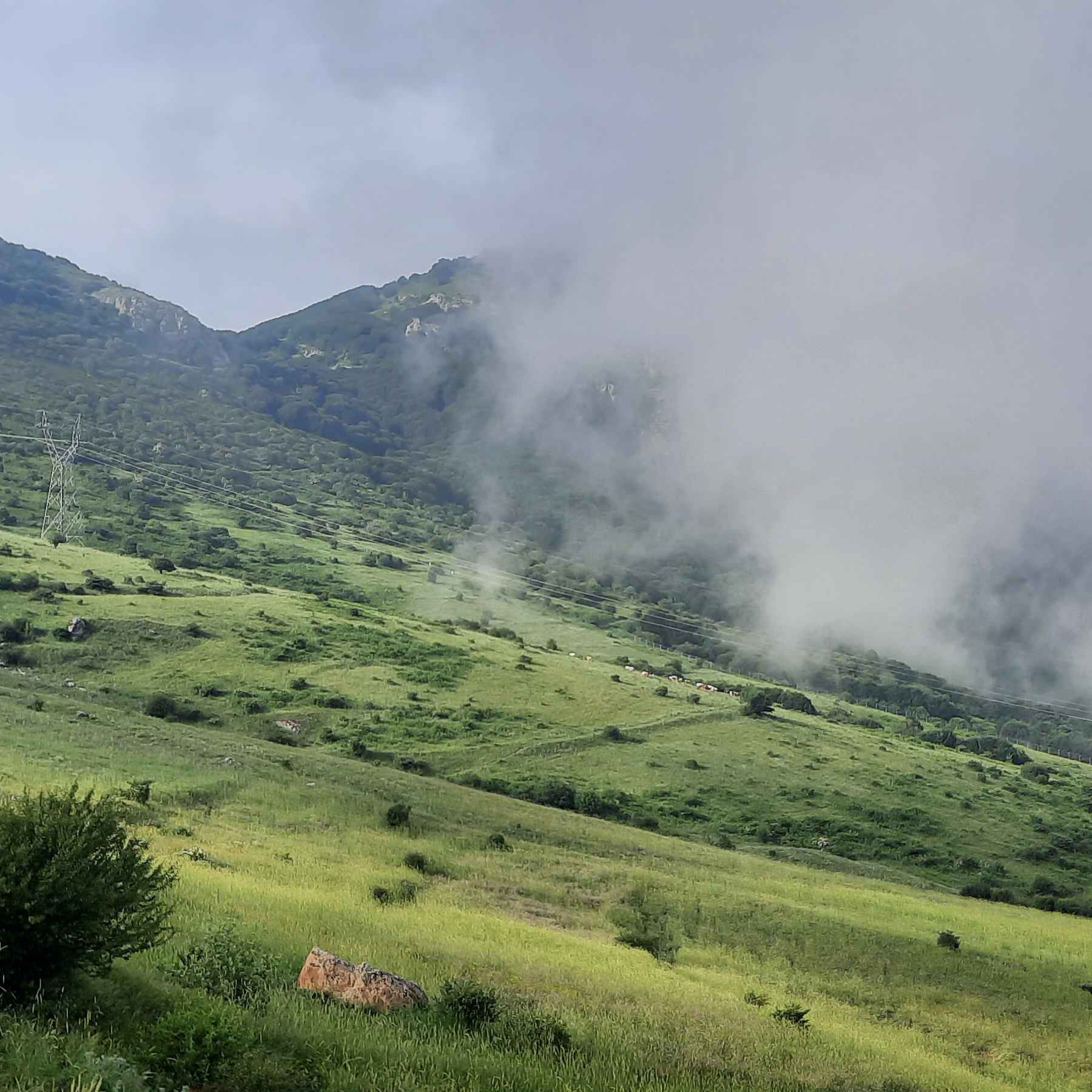 سیدرضا سیدنژاد