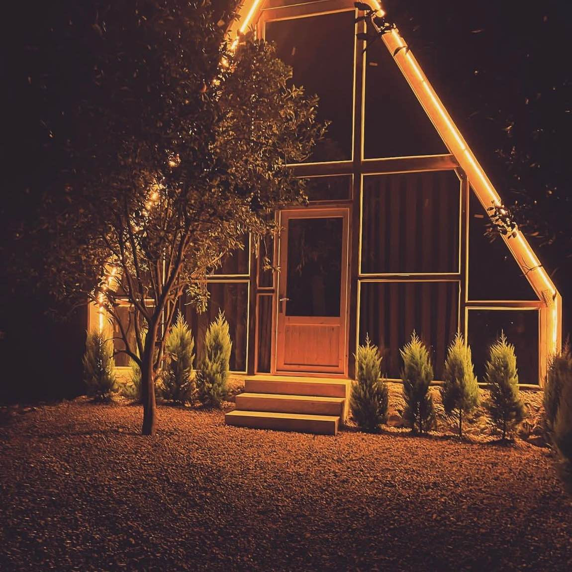 ایمان علیپور بالف