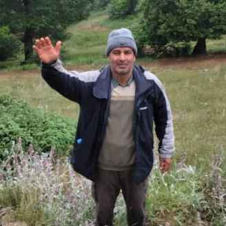 مجتبی ادیب زاده