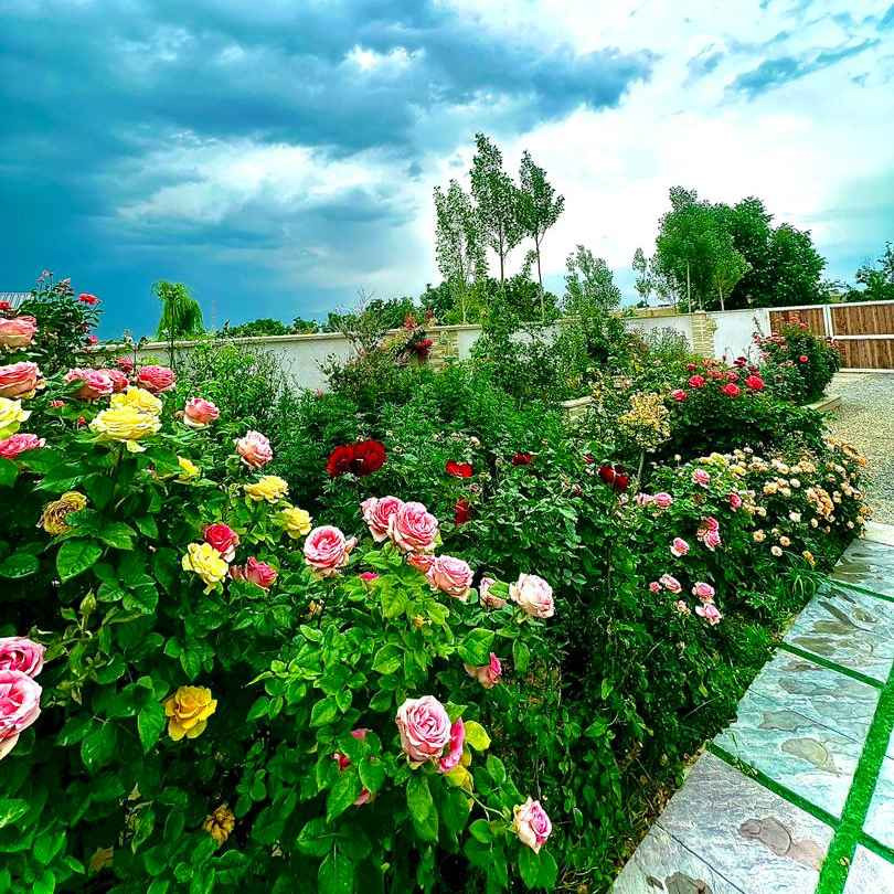 فرید ایوانی