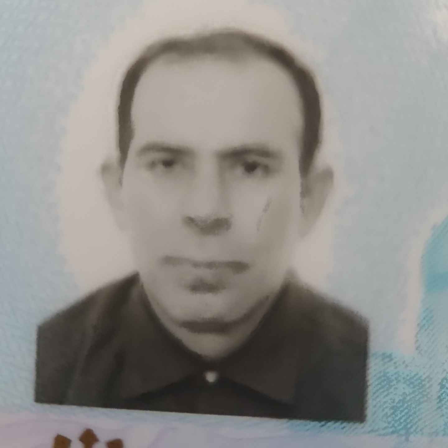 محمد رضا طیبی زاده