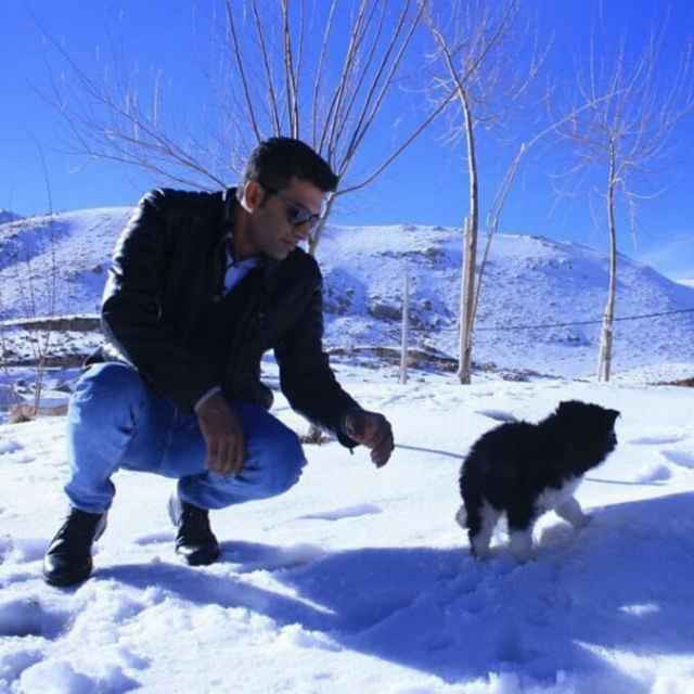 مجید رایانی