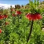 ایرج سلیمانی خواه ایرج سلیمانی خواه