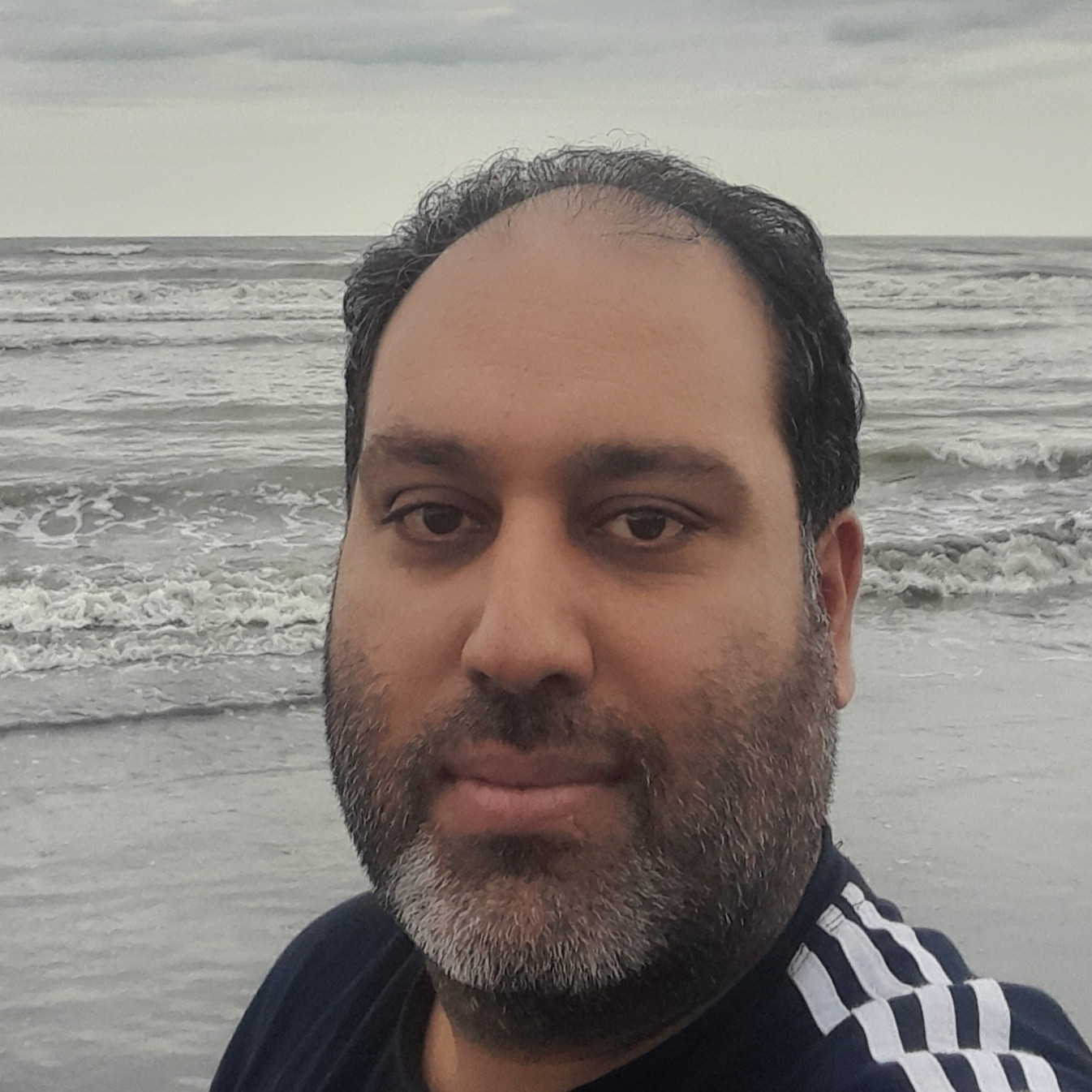 محمدرضا جوادی