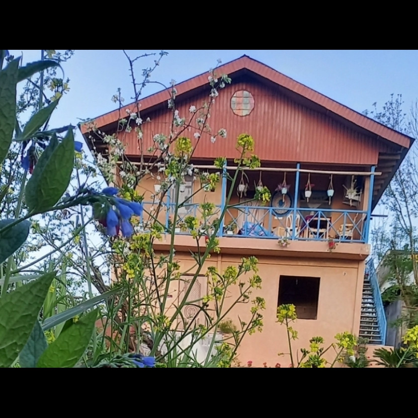 زینب علیپور