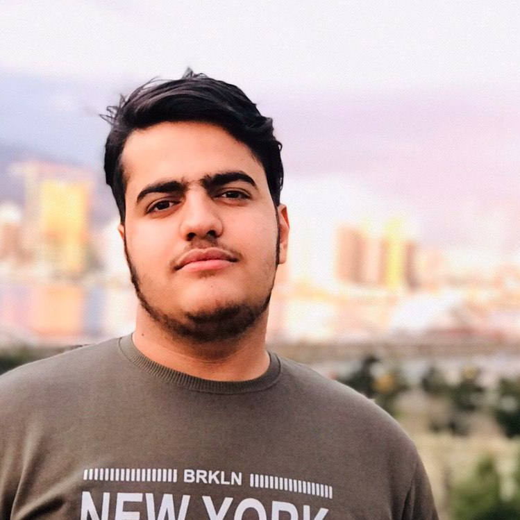 محمد حسین فاضلی