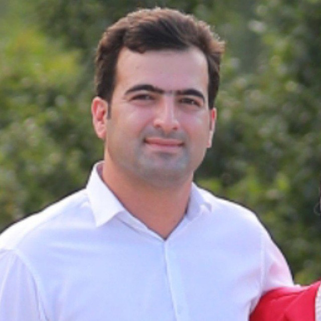 سید مهران محمودی