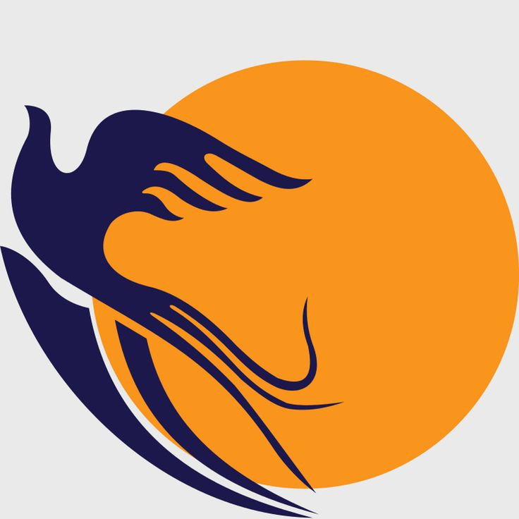 خزر پرواز کاسپین