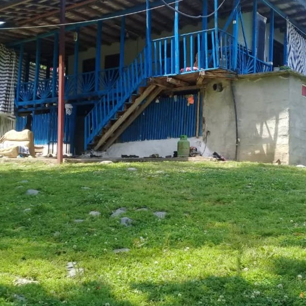 فاطمه رحیمی